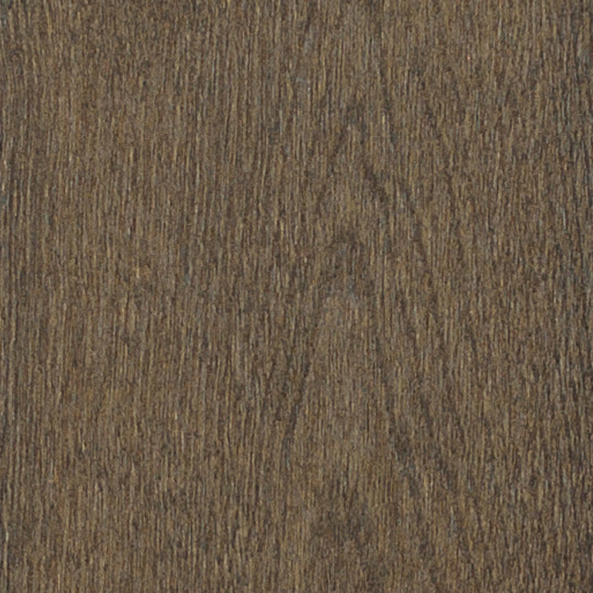 Image de catégorie - 