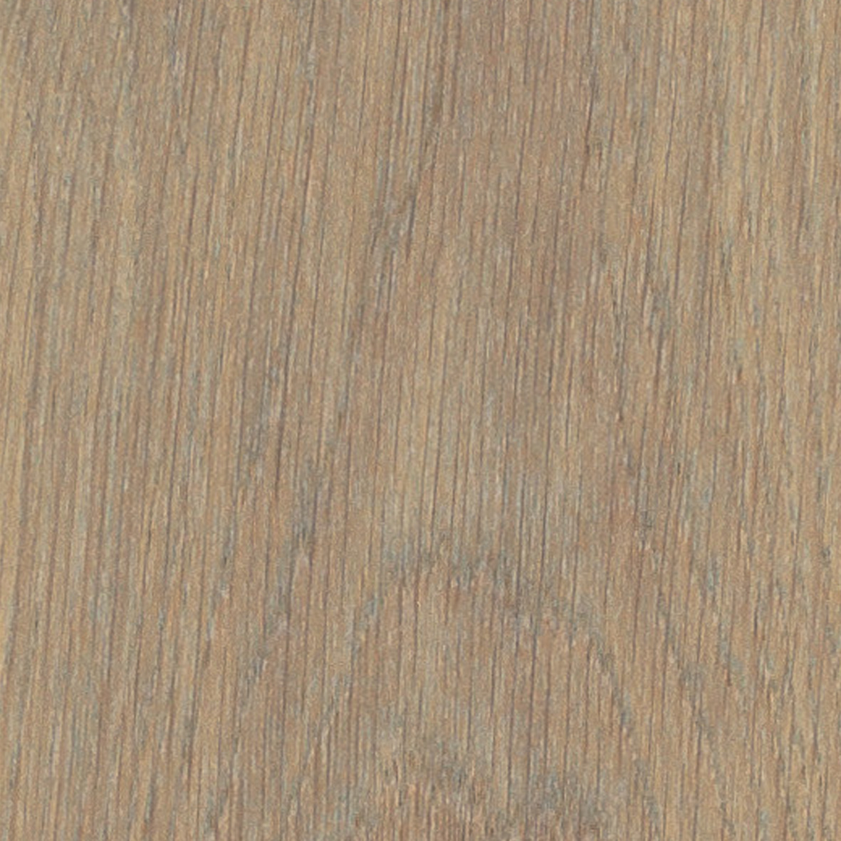 Image de catégorie - 