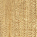 Image de catégorie - 