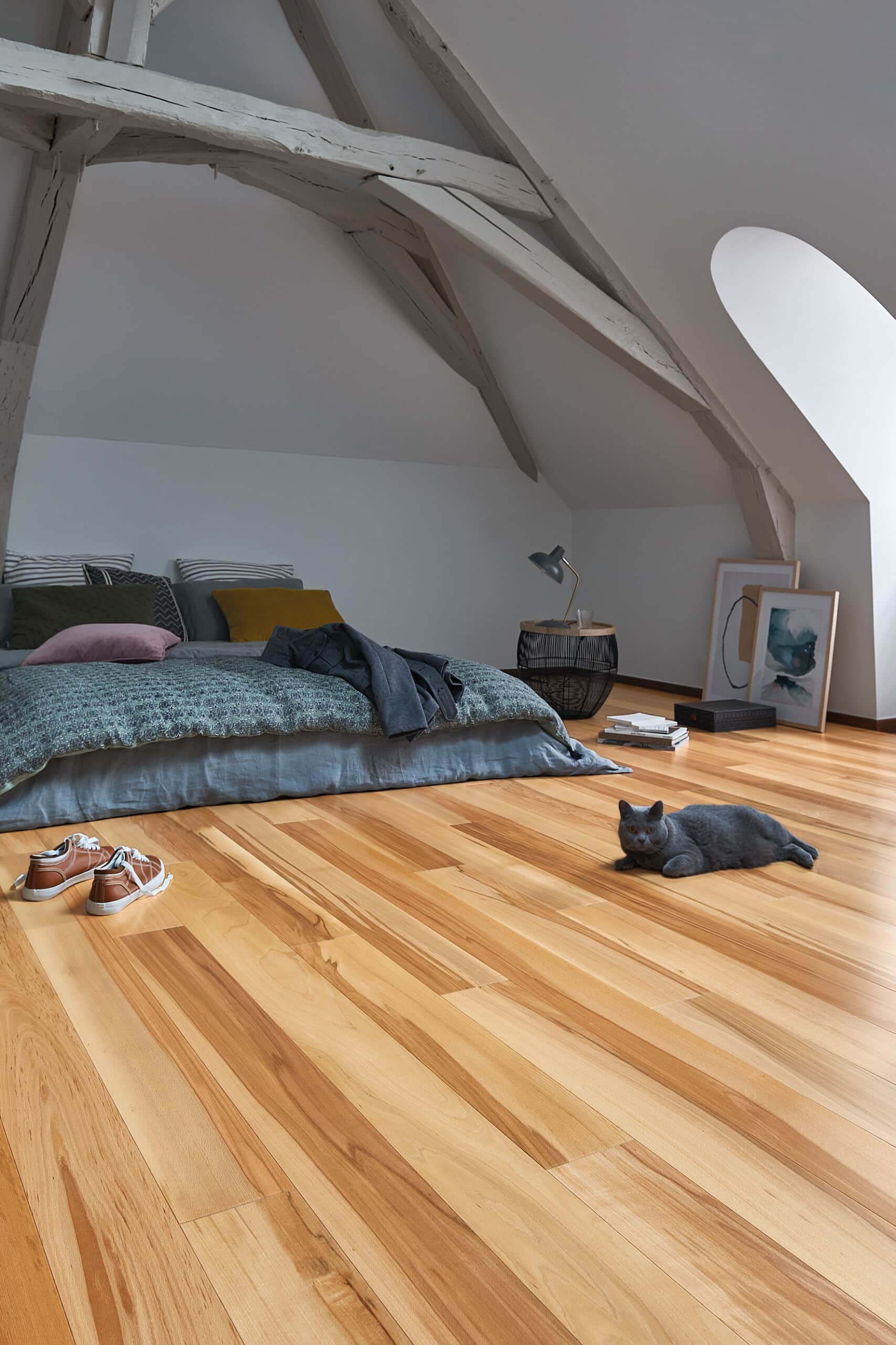 Photo d'ambiance secondaire -