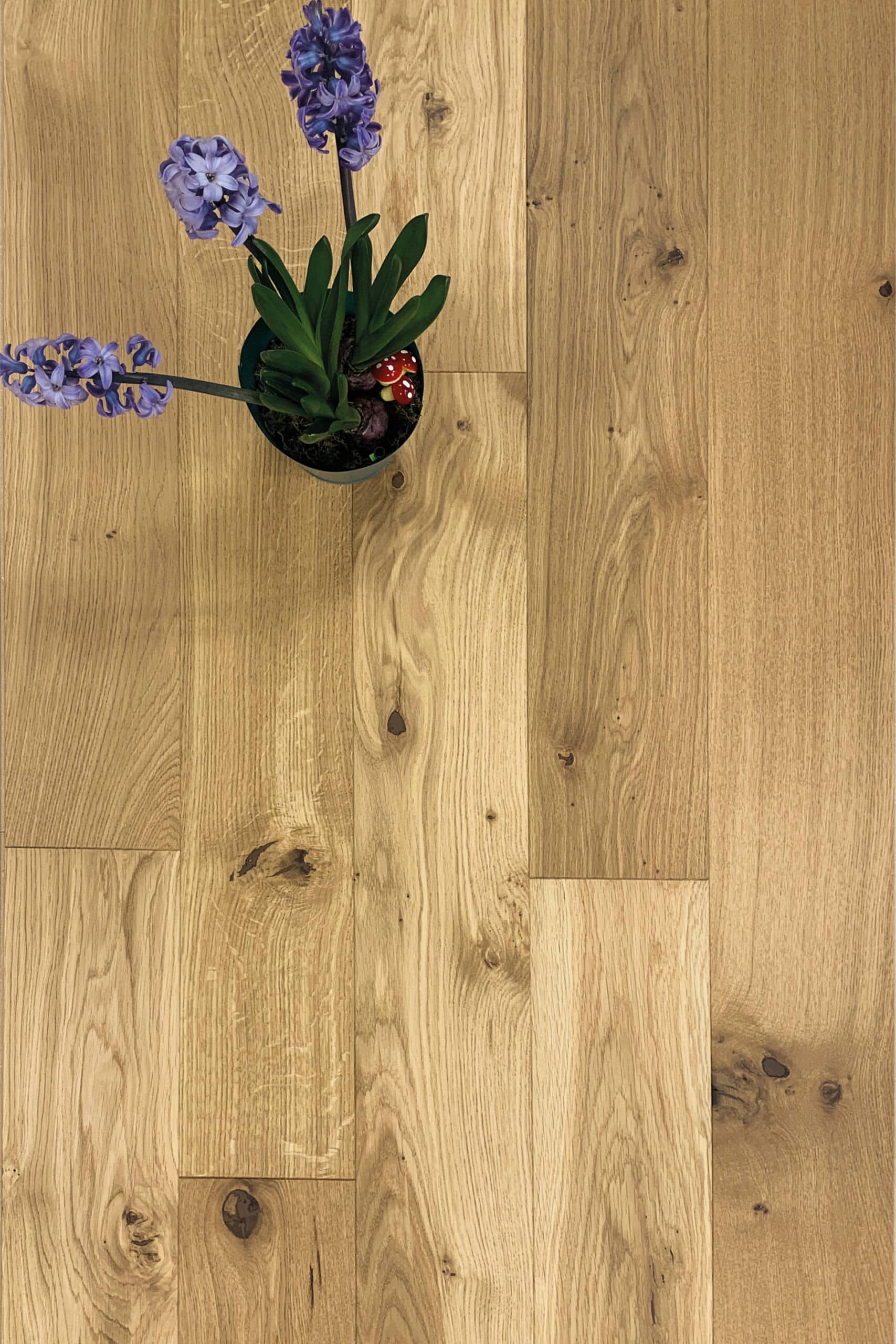 Photo d'ambiance secondaire -